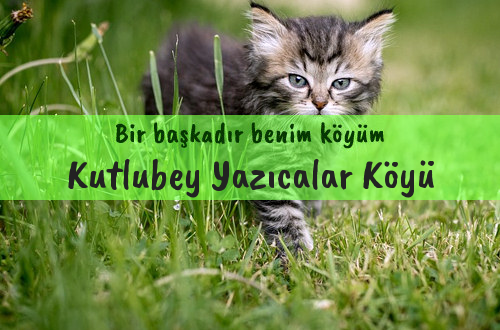 Kutlubey Yazıcalar Köyü